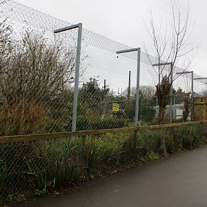 Old Canada Lynx Enclosure