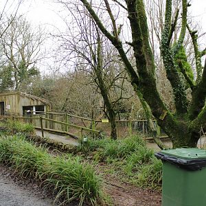 View Towards old Red Panda Enclosure