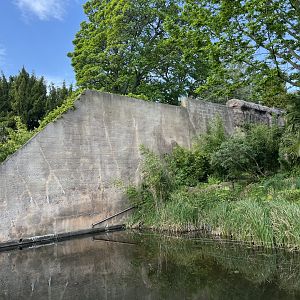 View of wall alongside chimp enclosure 11.5.24