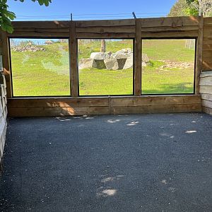 New gelada viewing area 20.5.24