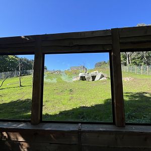 Refurbished Gelada enclosure 20.5.24