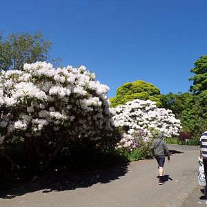 View in the zoo 20.5.24