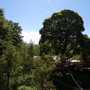 View over lemur enclosure 20.5.24