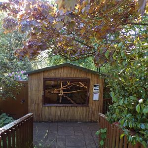 Ground cuscus enclosure 20.5.24