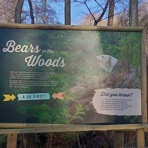 Bears in the woods sign