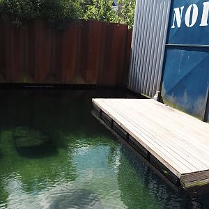 Nortica - Part of California sea lion exhibit next to Arctic 1 4D movie theater, 2024-06-23