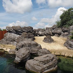 Nortica - California sea lion exhibit, 2024-06-23