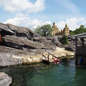 Nortica - California sea lion exhibit, 2024-06-23
