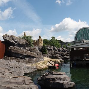 Nortica - California sea lion exhibit, 2024-06-23