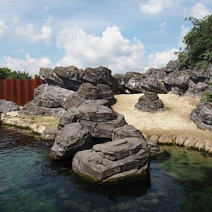 Nortica - California sea lion exhibit, 2024-06-23