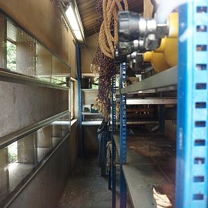 Nortica - Brown rat warehouse, 2024-06-23