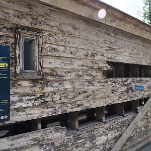 Nortica - Brown rat warehouse, 2024-06-23