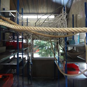 Nortica - Brown rat warehouse, 2024-06-23