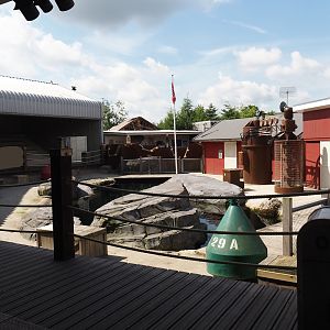 Nortica Hafên port themed area - Former sea lion theater, now part of Harbor seal exhibit , 2024-06-23