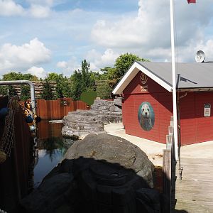Nortica - Harbor seal exhibit, 2024-06-23