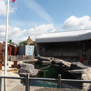 Nortica Hafên port themed area - Former sea lion theater, now part of harbor seal exhibit , 2024-06-23