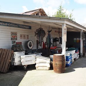 Nortica Hafên port themed area - Seafood market theming with sustainable seafood signage, 2024-06-23