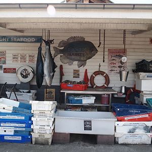 Nortica Hafên port themed area - Seafood market theming with sustainable seafood signage, 2024-06-23