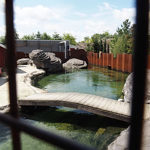 Nortica - Harbor seal exhibit, 2024-06-23