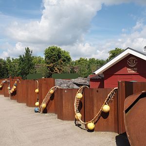 Nortica - Harbor seal exhibit viewing areas, 2024-06-23