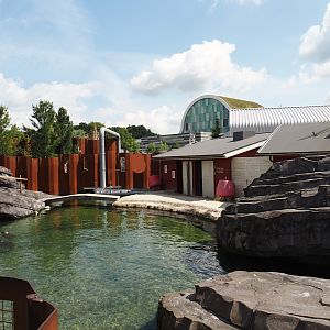 Nortica - Harbor eal exhibit, 2024-06-23