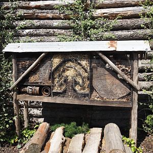 Nortica - Insect hotel, 2024-06-23