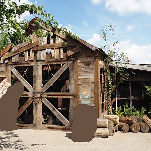 Nortica - Swinhoe's striped squirrel exhibit, 2024-06-23