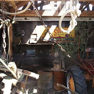 Nortica - Swinhoe's striped squirrel exhibit (with vintage tractor), 2024-06-23