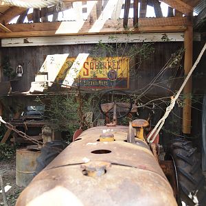 Nortica - Swinhoe's striped squirrel exhibit (with vintage tractor), 2024-06-23
