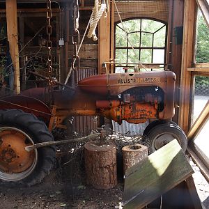 Nortica - Swinhoe's striped squirrel exhibit (with vintage tractor), 2024-06-23