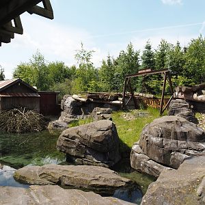 Nortica - Eurasian beaver exhibit, 2024-06-23