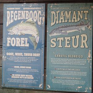 Nortica - Fish in beaver exhibit signage, 2024-06-23