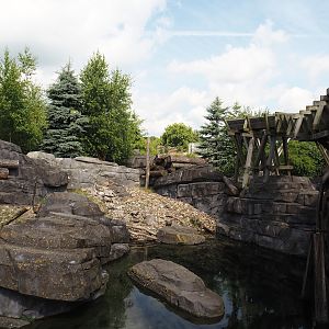 Nortica - Eurasian beaver exhibit, 2024-06-23