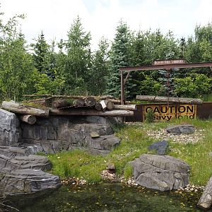 Nortica - Eurasian beaver exhibit, 2024-06-23