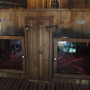 Nortica - Eurasian beaver den, 2024-06-23