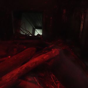 Nortica - Eurasian beaver den, 2024-06-23