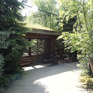 Nortica - Snowy owl aviary viewing area, 2024-06-23