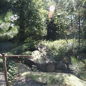 Nortica - Snowy owl aviary, 2024-06-23