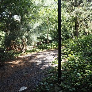 Nortica - Snowy owl aviary, 2024-06-23