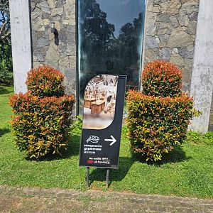 Pinnawala Zoo - Musium or Museum?