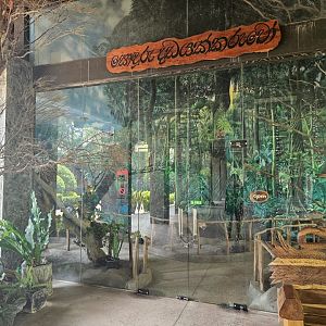 Pinnawala Zoo - Museum Entrance