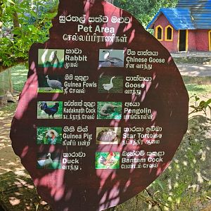 Pinnawala Zoo - Pet Area species sign