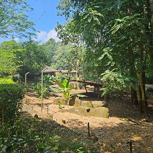 Pinnawala Zoo - Sri Lankan Axis Deer paddock