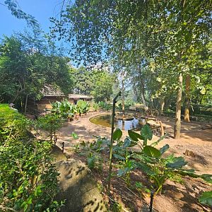 Pinnawala Zoo - Sri Lankan Axis Deer paddock