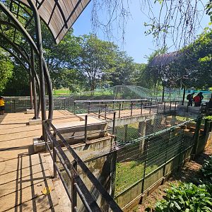 Pinnawala Zoo - Boardwalk over wetland bird Aviaries