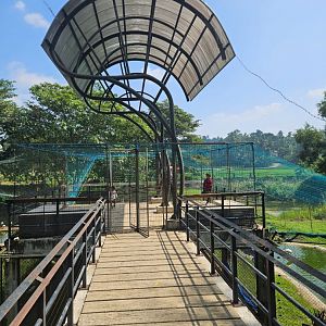 Pinnawala Zoo - Weird Shade Structure over Flamingo viewing area