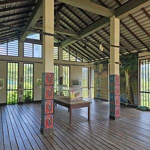 Pinnawala Zoo - Crocodile Education building