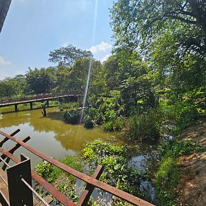 Pinnawala Zoo - Mugger Crocodile enclosure