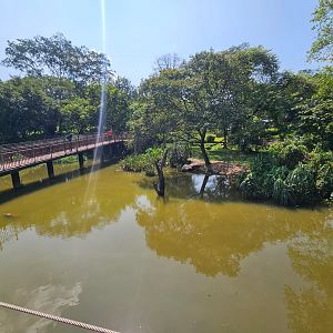 Pinnawala Zoo - Mugger Crocodile enclosure