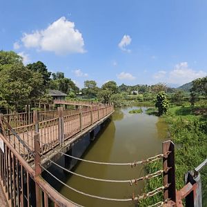 Pinnawala Zoo - Boardwalk between Crocodile enclosures